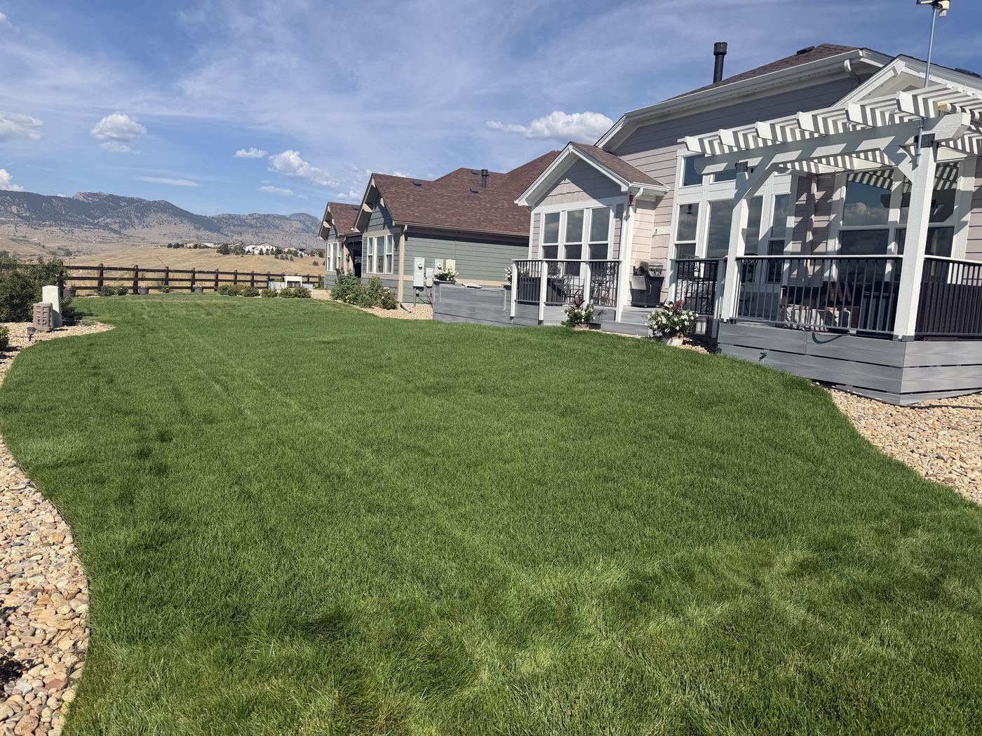 After: lush green sod lawn