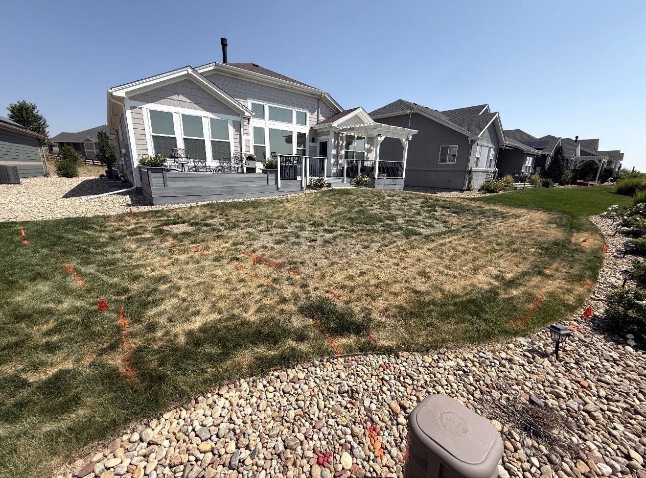 Before: dry, patchy lawn